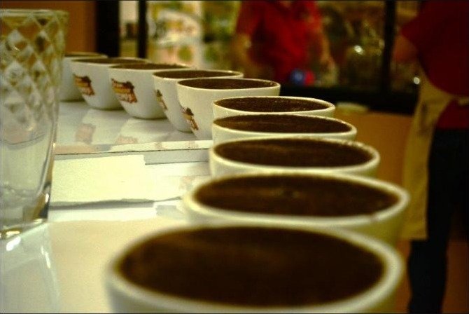 Catación de café